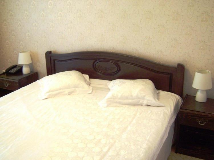 Hanul Dacilor Hotel Iasi الغرفة الصورة